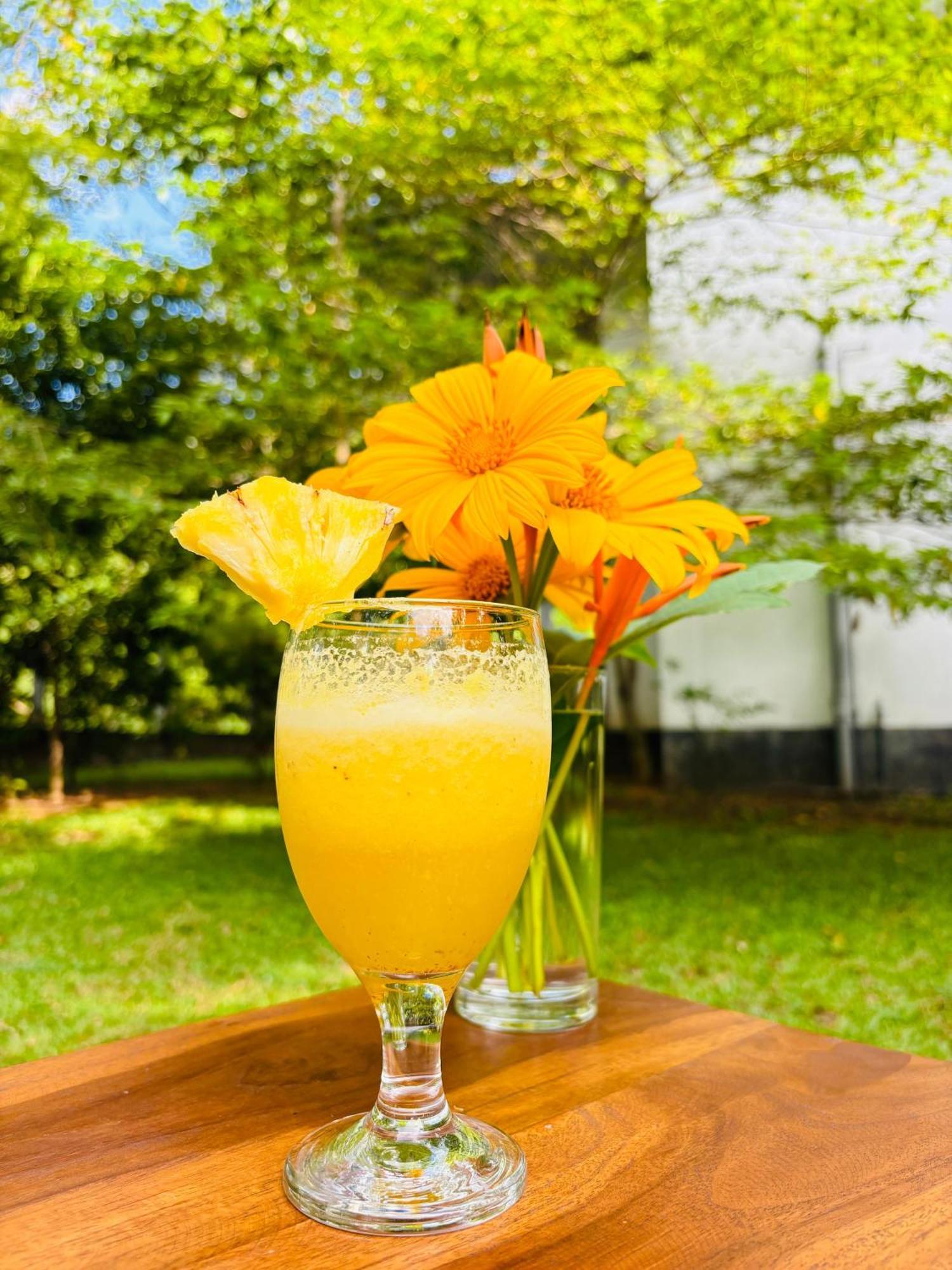 Forest Dew Udawalawa 达瓦拉维 外观 照片
